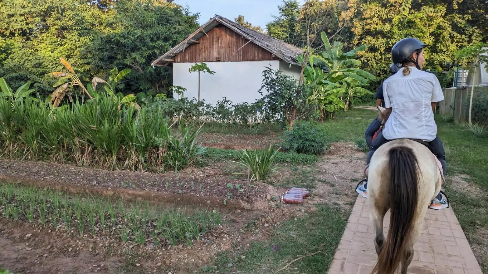 Camping Namkhan Horses Stables Luang Prabang