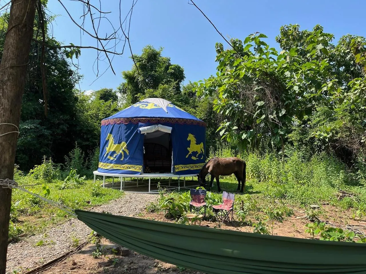 Campsite Namkhan Horses Stables Luang Prabang