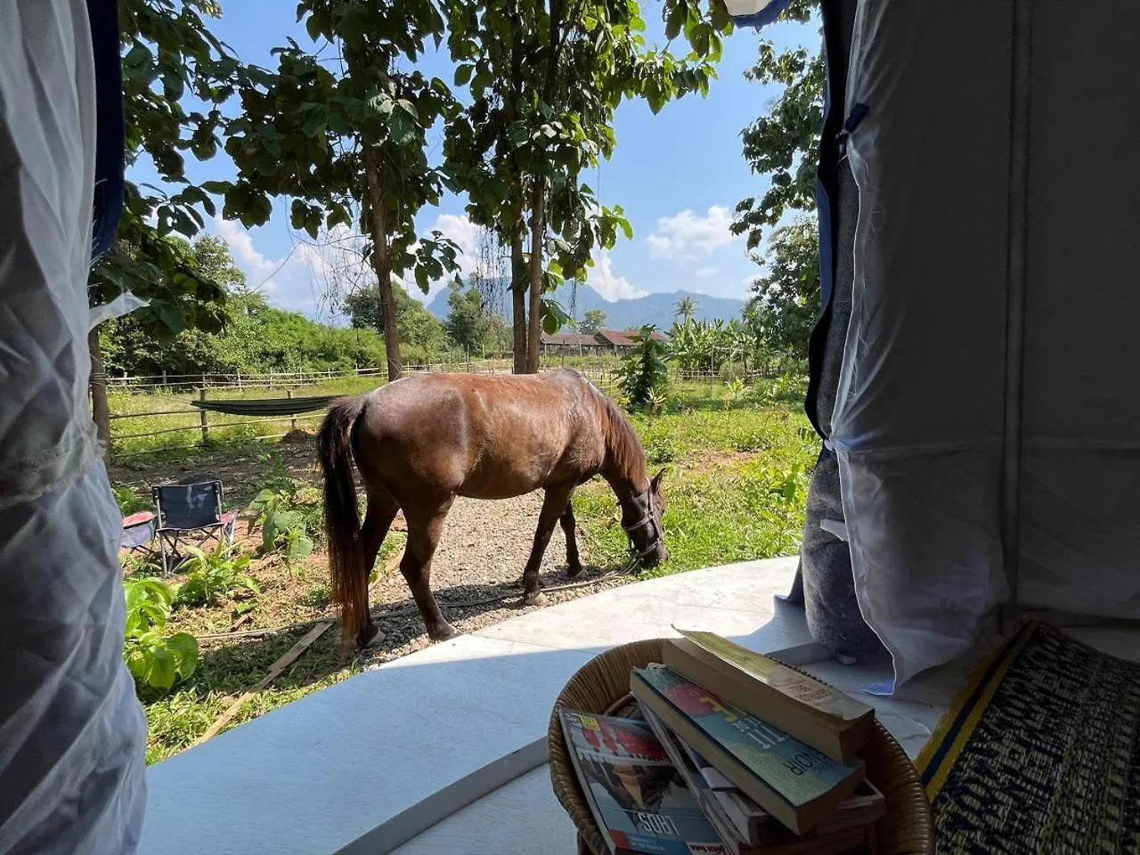 Namkhan Horses Stables Luang Prabang