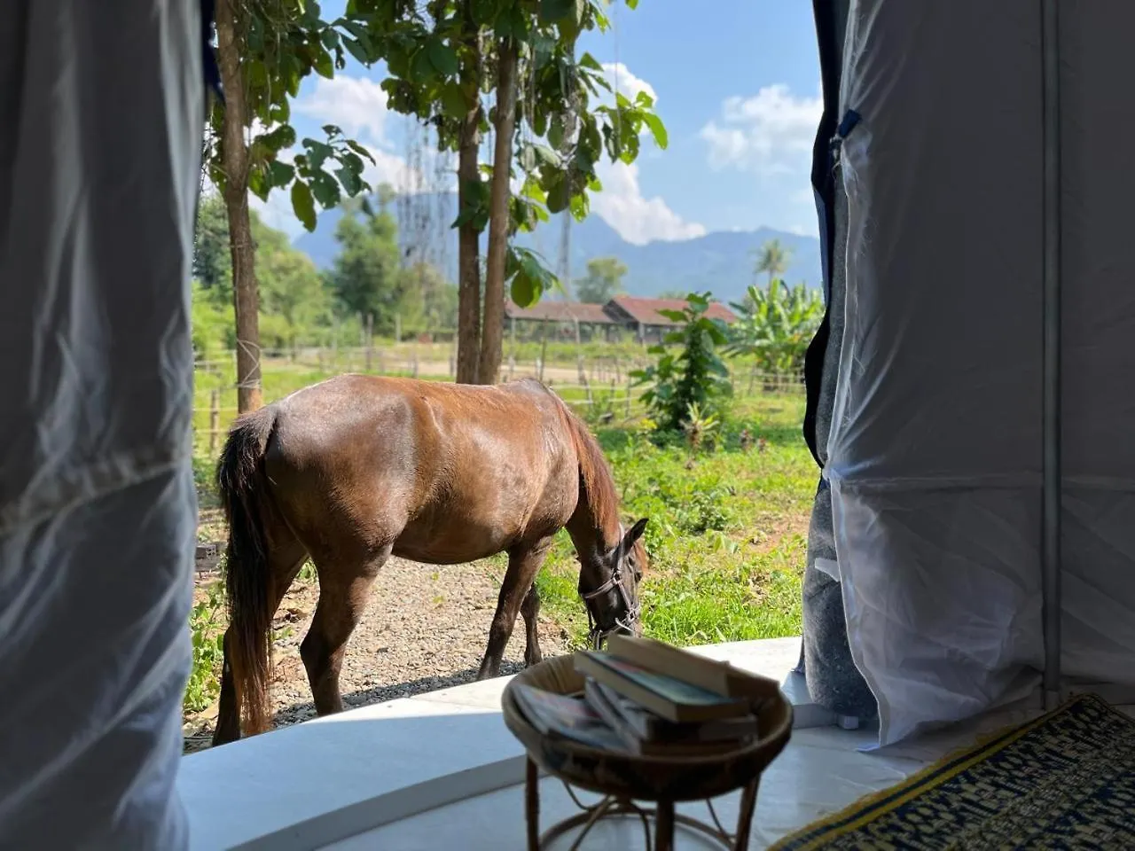Campsite Namkhan Horses Stables Luang Prabang