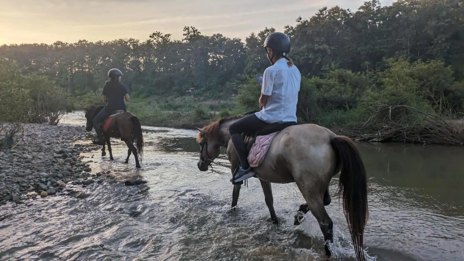 Namkhan Horses Stables Luang Prabang Campsite